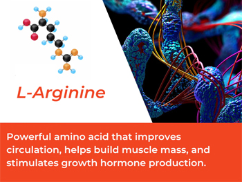 What Is L-Arginine Powder Used For？
